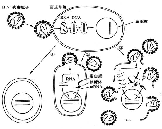 图片14