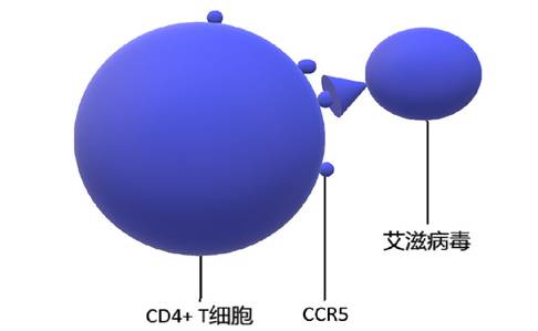 图片12